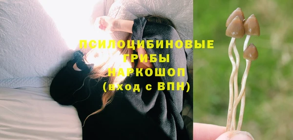 первитин Балахна
