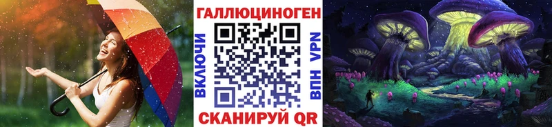 blacksprut ссылка  Покров  Псилоцибиновые грибы MAGIC MUSHROOMS 
